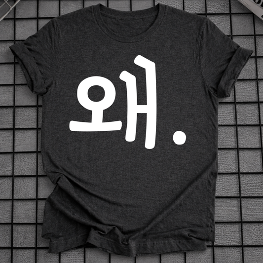 HANGUL WHY T-SHIRT