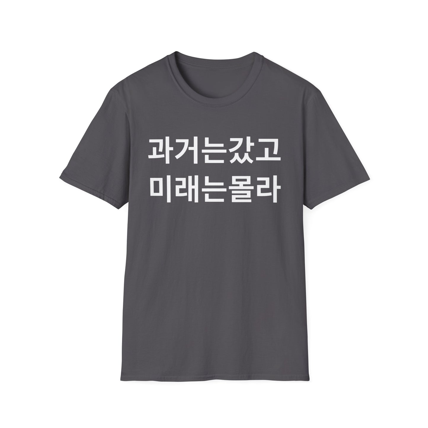 Korean Phrase T-Shirt — '과거는갔고 미래는몰라' Minimalist Typography Tee