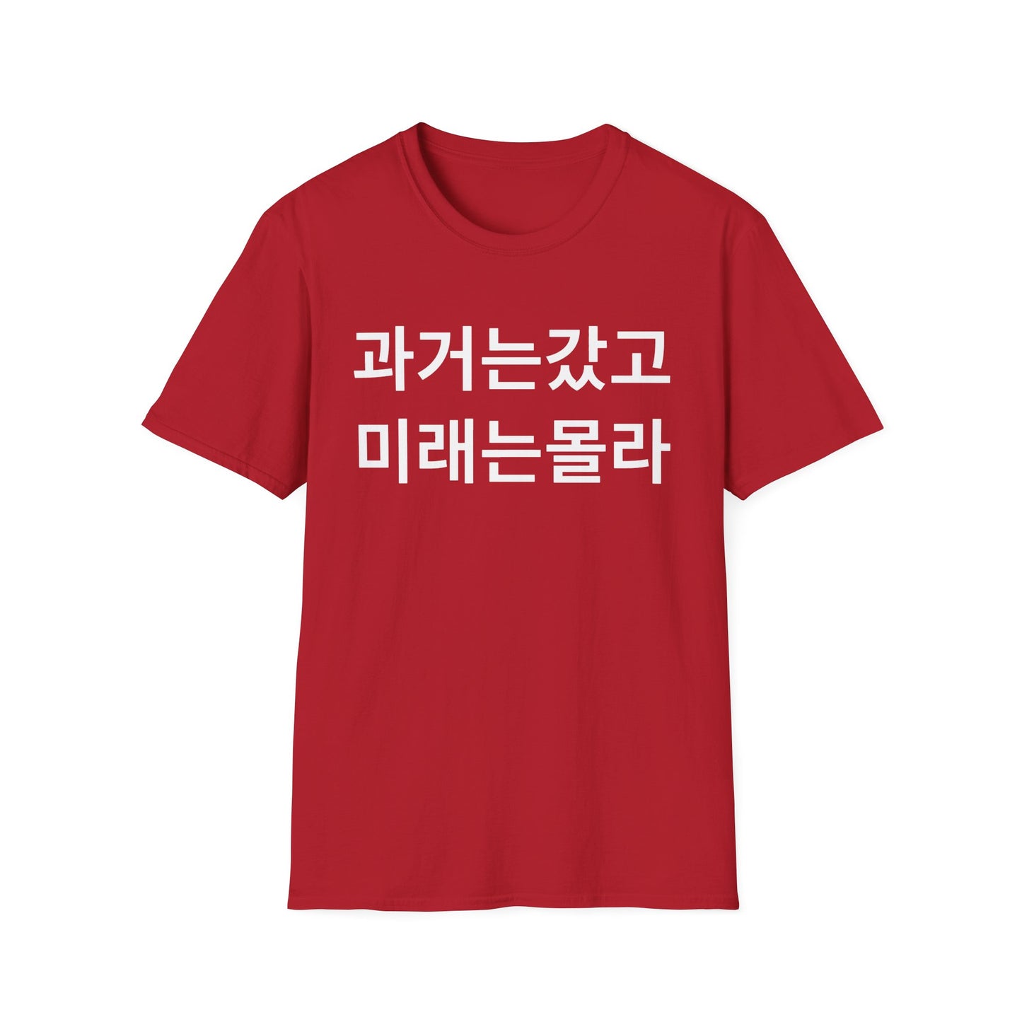 Korean Phrase T-Shirt — '과거는갔고 미래는몰라' Minimalist Typography Tee