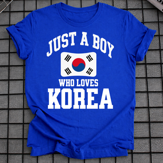 JUST A BOY WHO LOVES KOREA T-SHIRT