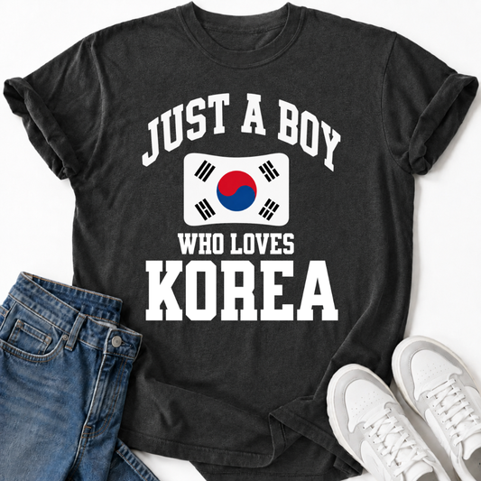JUST A BOY WHO LOVES KOREA T-SHIRT