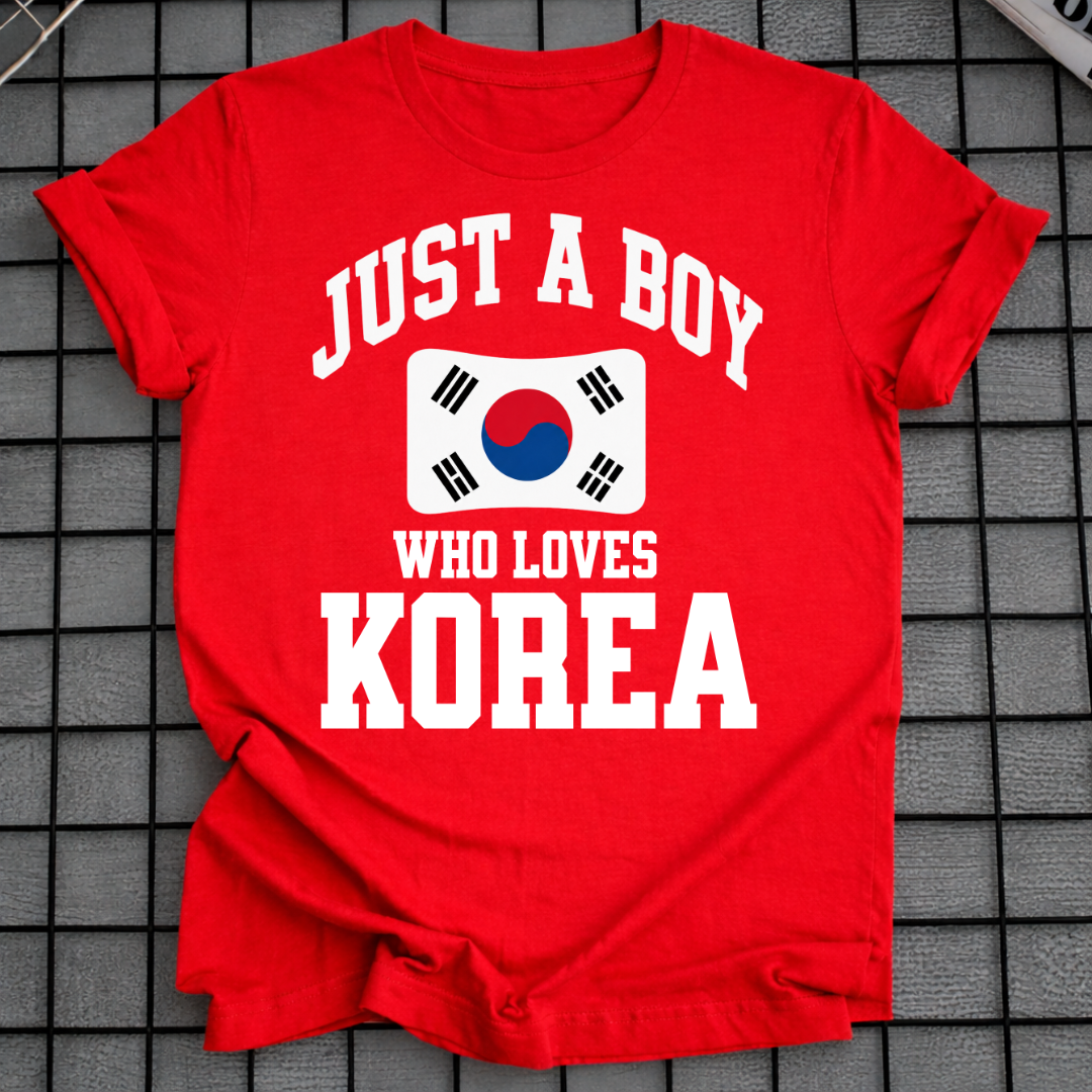 JUST A BOY WHO LOVES KOREA T-SHIRT