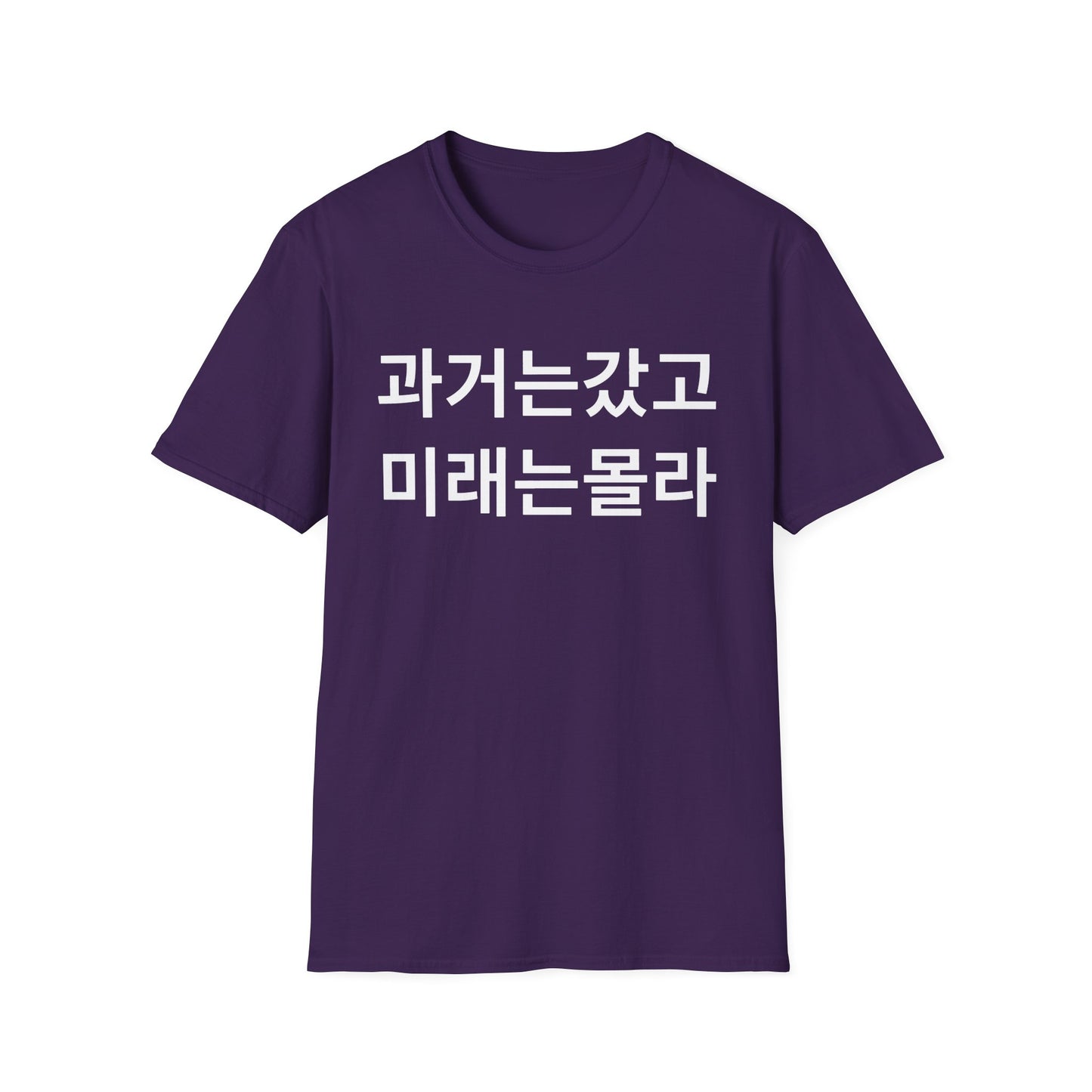 Korean Phrase T-Shirt — '과거는갔고 미래는몰라' Minimalist Typography Tee