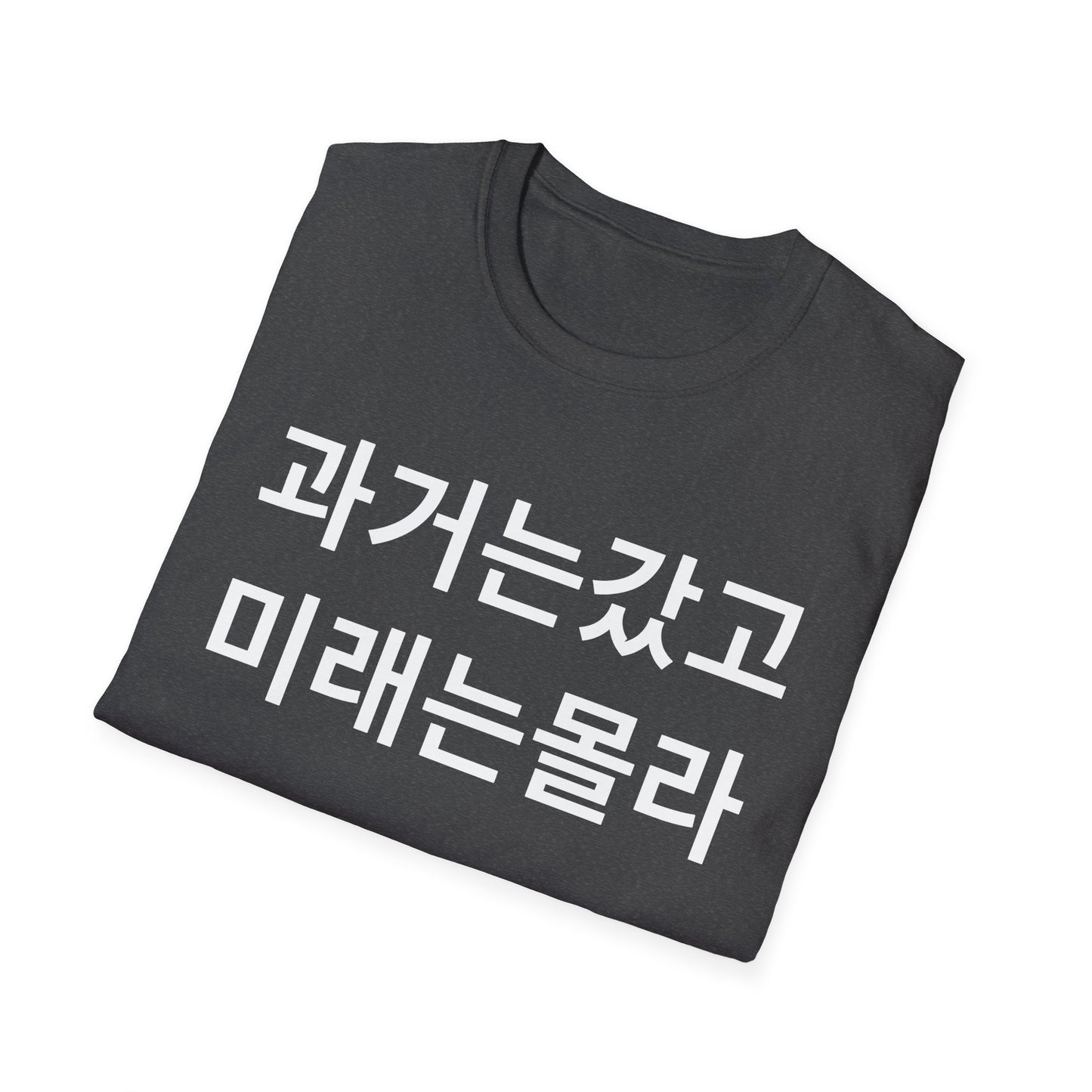Korean Phrase T-Shirt — '과거는갔고 미래는몰라' Minimalist Typography Tee