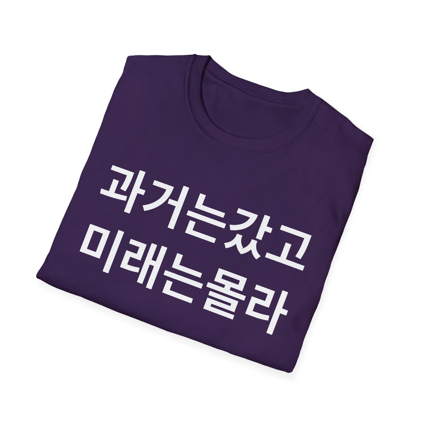 Korean Phrase T-Shirt — '과거는갔고 미래는몰라' Minimalist Typography Tee