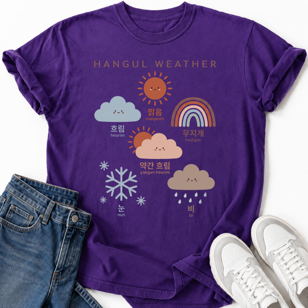 HANGUL WEATHER T-SHIRT