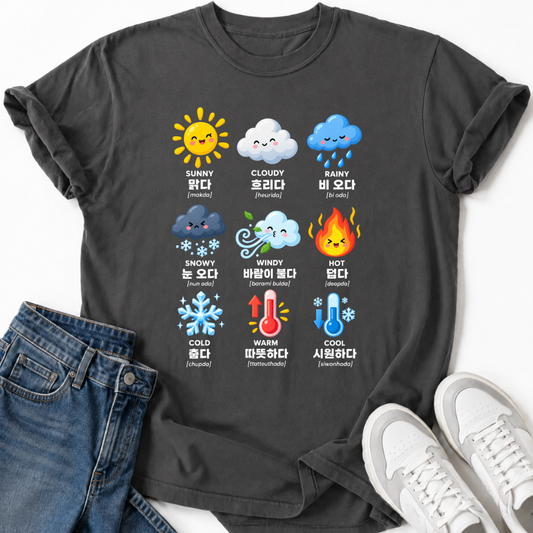KOREAN WEATHER T-SHIRT