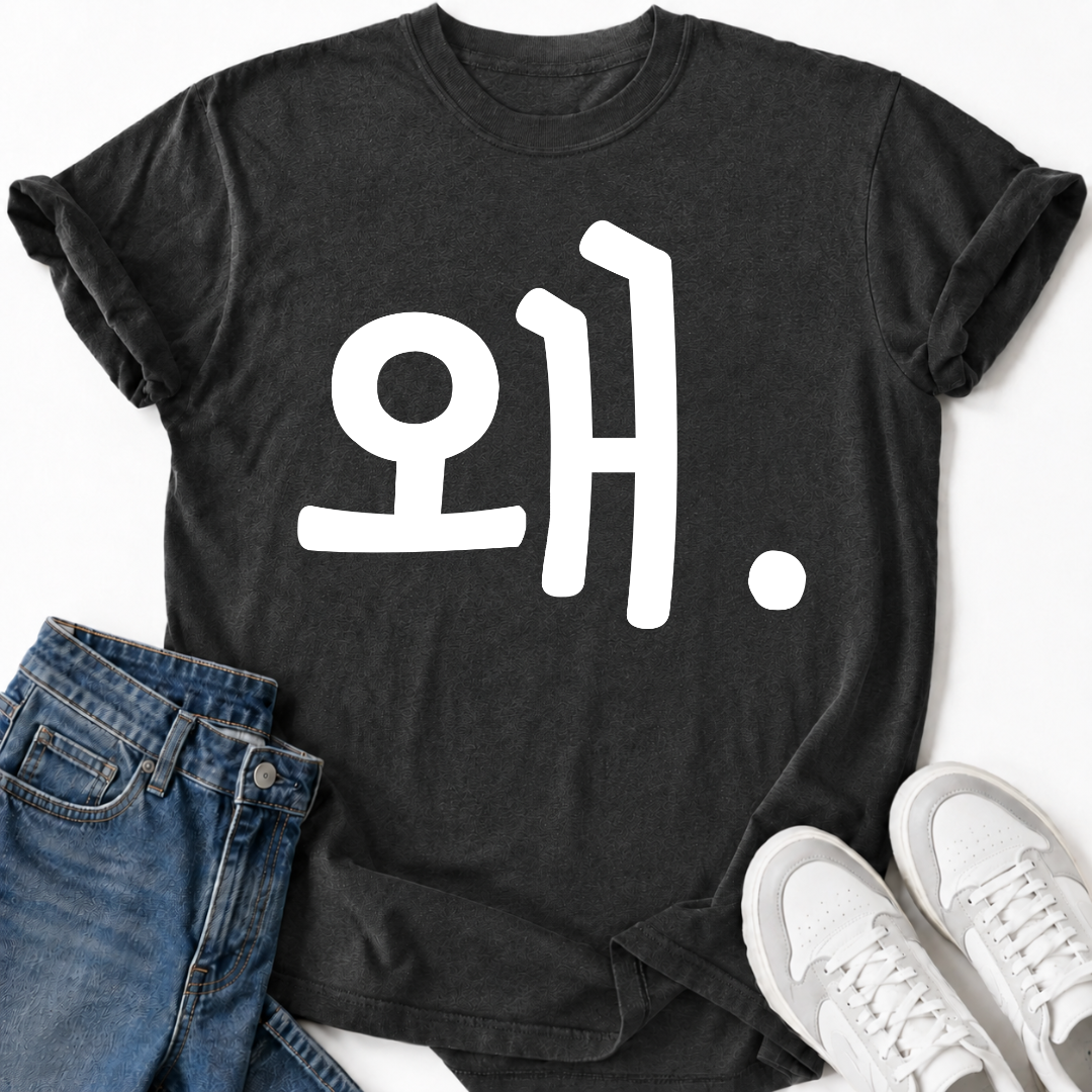 HANGUL WHY T-SHIRT