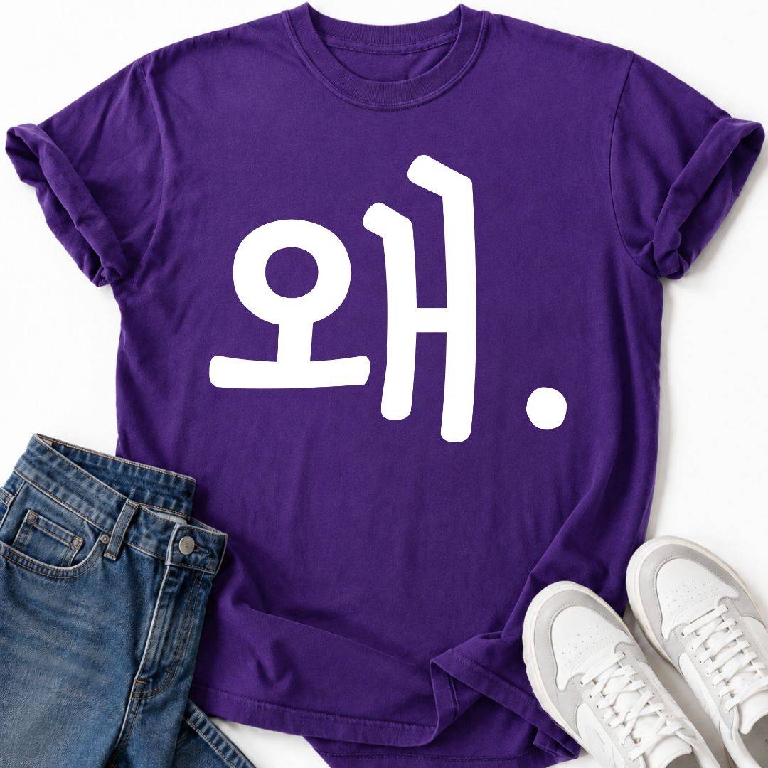 HANGUL WHY T-SHIRT